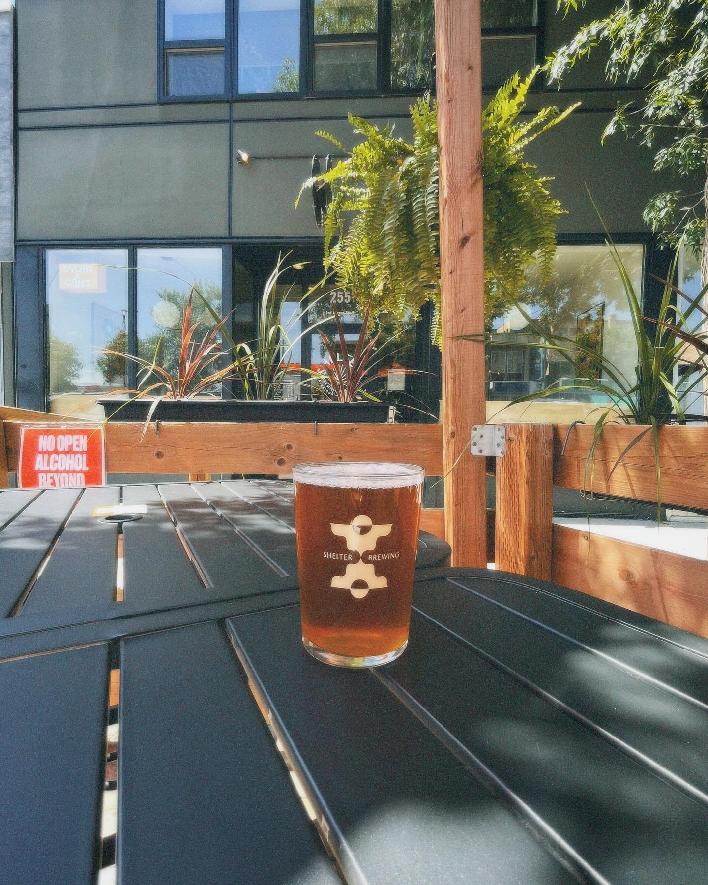 Rotational 16 oz Pints at Shelter Brewing Company